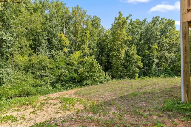 view of local wilderness