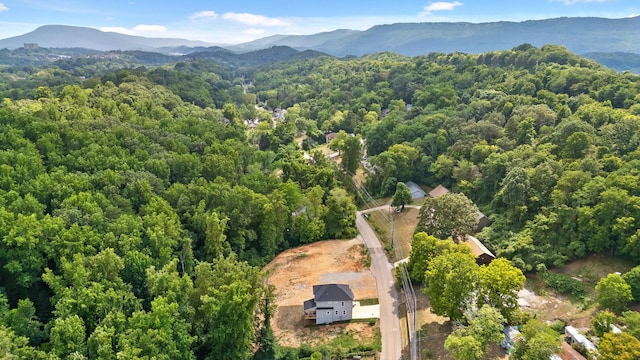 birds eye view of property featuring a mountain view