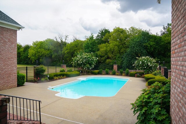 view of pool with a patio area