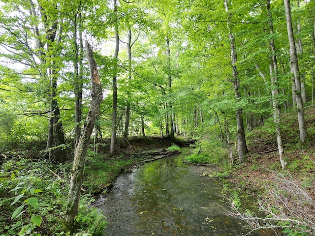 view of landscape