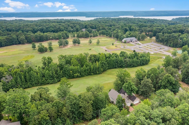 40 Vantage Pt, Counce, TN 38326 - aerial view of a nearby body of water and a golf club