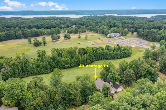 40 Vantage Pt, Counce, TN 38326 - aerial view of a nearby body of water and a golf course