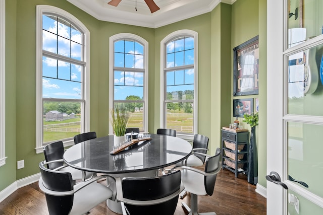 dining area featuring plenty of natural light, dark wood-type flooring, and ceiling fan