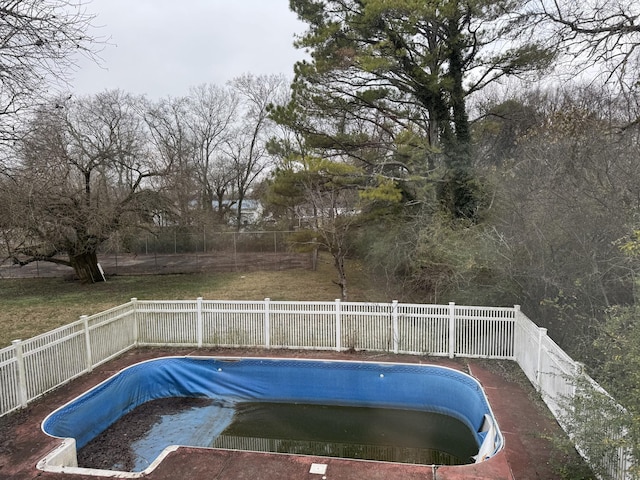 view of swimming pool