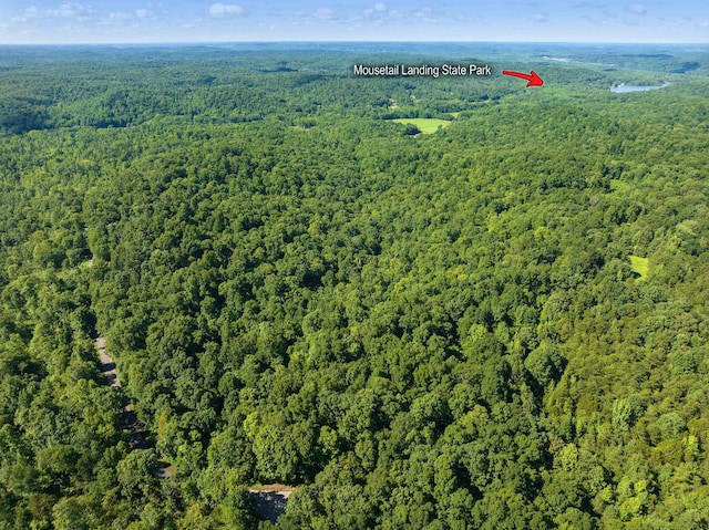 0 Parrish Rd, Linden TN, 37096 land for sale