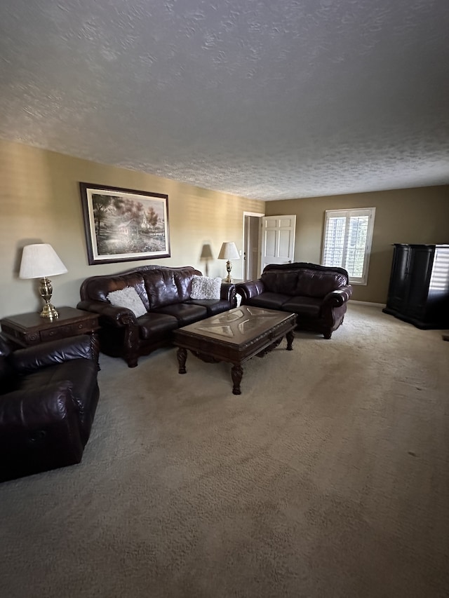 carpeted living room with a textured ceiling