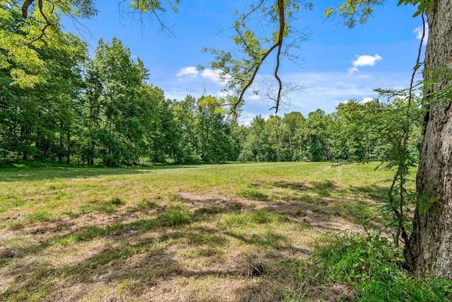 1769 Coxburg Rd N, Holladay, TN 38341 - photo 46