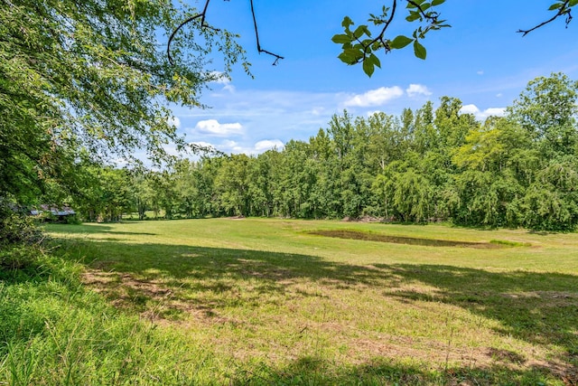 1769 Coxburg Rd N, Holladay, TN 38341 - photo 53