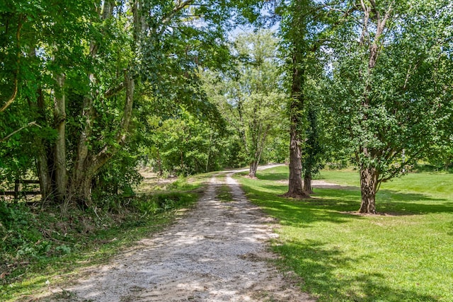 view of road