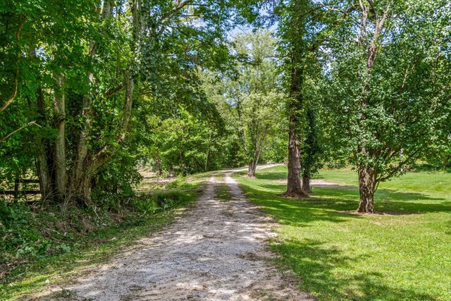 1769 Coxburg Rd N, Holladay, TN 38341 - photo 38