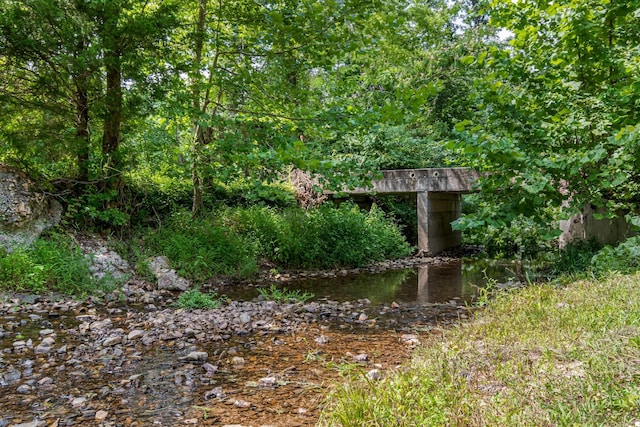 1769 Coxburg Rd N, Holladay, TN 38341 - photo 45