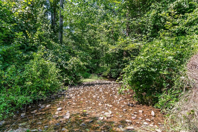 1769 Coxburg Rd N, Holladay, TN 38341 - photo 44