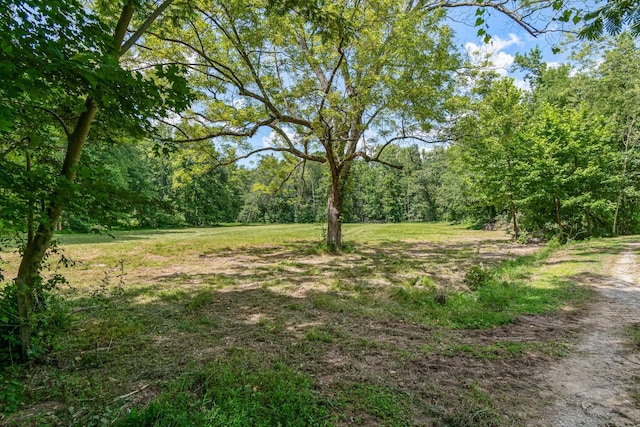 1769 Coxburg Rd N, Holladay, TN 38341 - photo 39