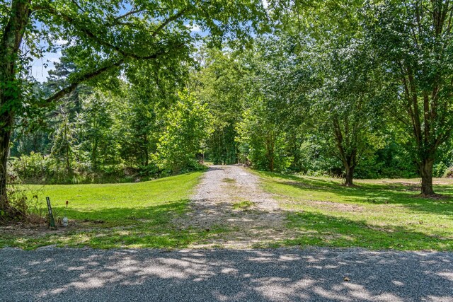1769 Coxburg Rd N, Holladay, TN 38341 - photo 42