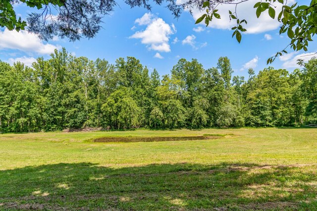 1769 Coxburg Rd N, Holladay, TN 38341 - photo 52