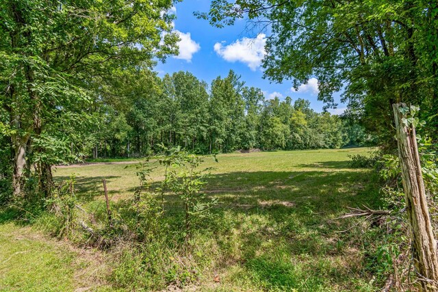 1769 Coxburg Rd N, Holladay, TN 38341 - photo 49