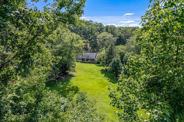 1769 Coxburg Rd N, Holladay, TN 38341 - photo 66