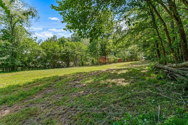 1769 Coxburg Rd N, Holladay, TN 38341 - photo 48