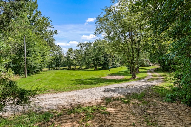 1769 Coxburg Rd N, Holladay, TN 38341 - photo 41