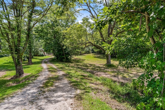 1769 Coxburg Rd N, Holladay, TN 38341 - photo 40