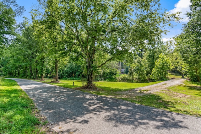 view of road