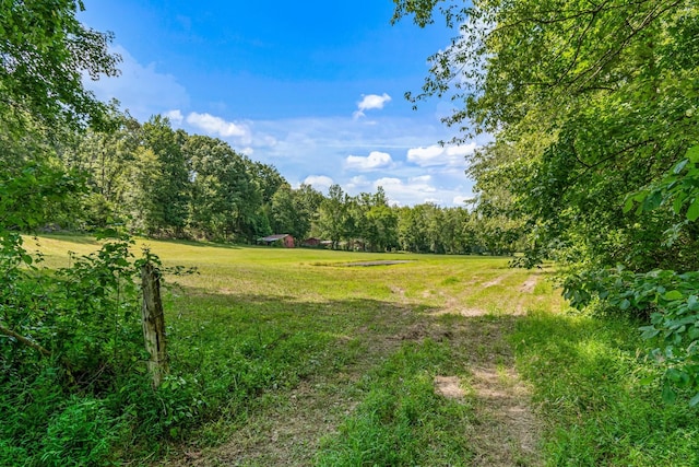 1769 Coxburg Rd N, Holladay, TN 38341 - photo 54