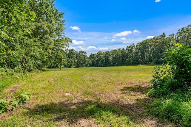 1769 Coxburg Rd N, Holladay, TN 38341 - photo 55