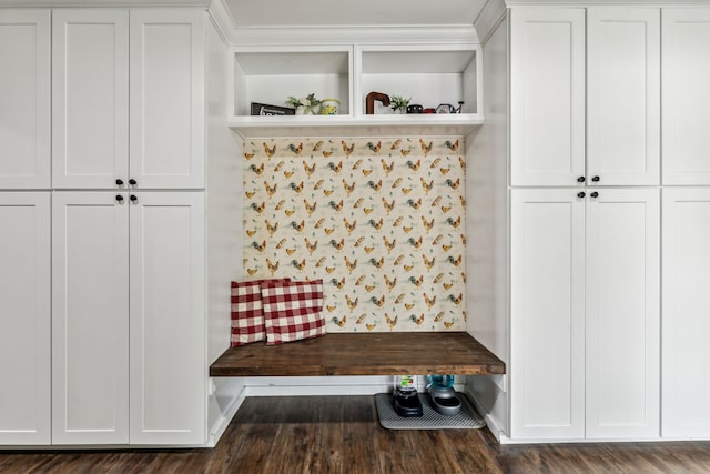 mudroom featuring dark hardwood / wood-style flooring