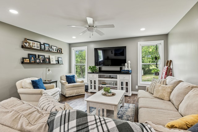 living room featuring ceiling fan and dark wood-type flooring