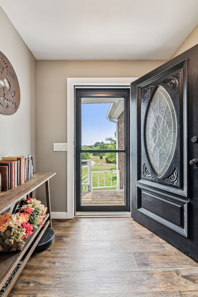 foyer entrance featuring wood-type flooring