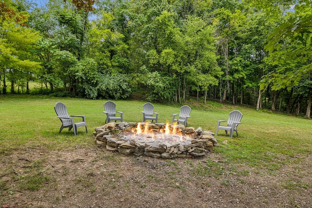 view of yard featuring an outdoor fire pit