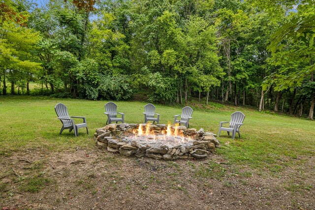 6980 SE Tater Peeler Rd, Lebanon, TN 37090 - photo 59
