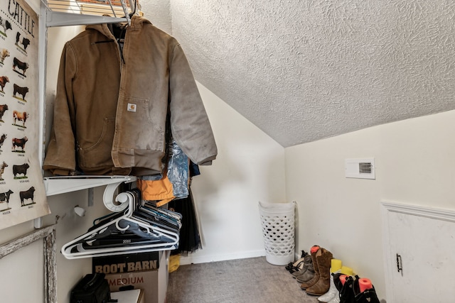 walk in closet with carpet floors and lofted ceiling