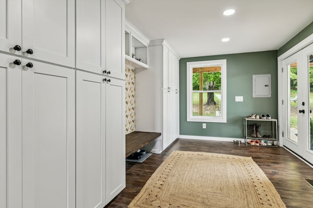 mudroom with dark hardwood / wood-style flooring, a wealth of natural light, and electric panel