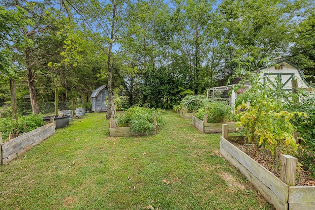 view of yard featuring a storage shed