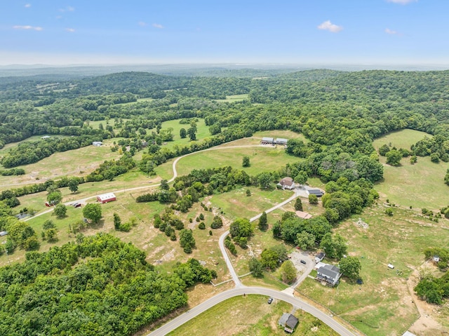 6980 SE Tater Peeler Rd, Lebanon, TN 37090 - photo 65
