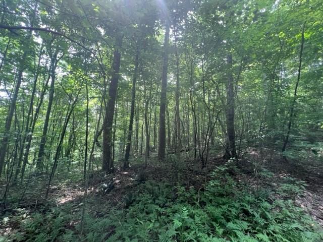 0 Skaggs Branch Rd, Whitleyville, TN 38588