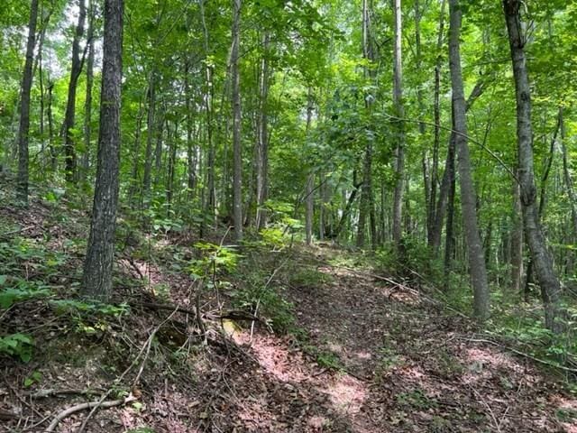 0 Skaggs Branch Rd, Whitleyville, TN 38588
