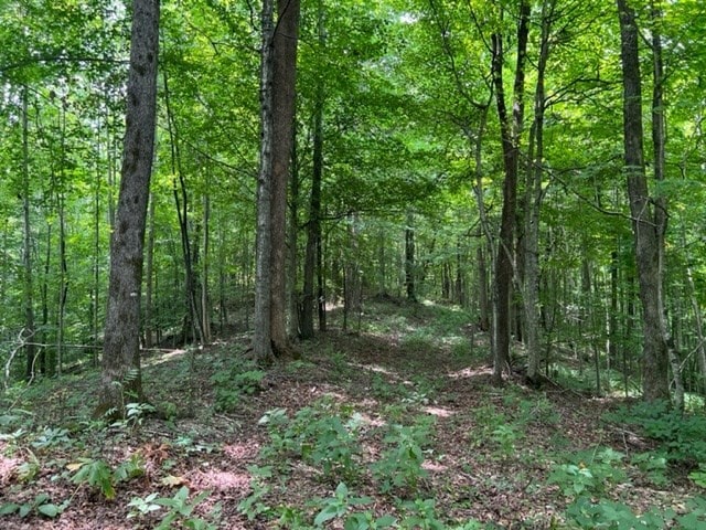 Listing photo 3 for 0 Skaggs Branch Rd, Whitleyville TN 38588