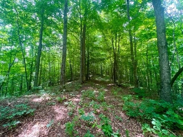 0 Skaggs Branch Rd, Whitleyville TN, 38588 land for sale