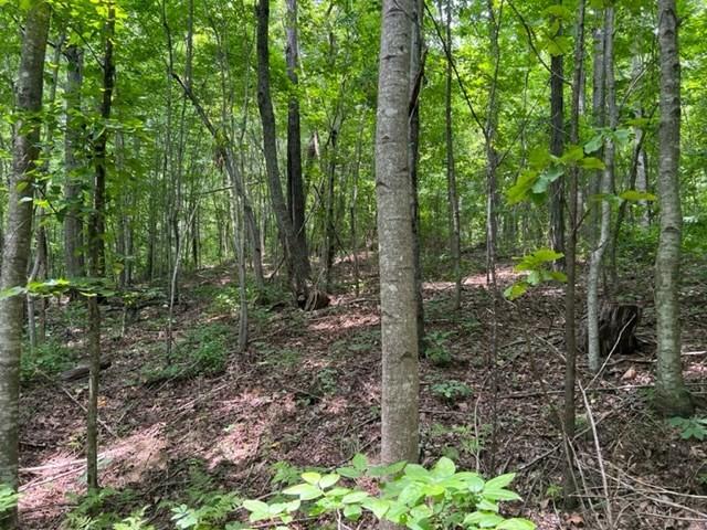 0 Skaggs Branch Rd, Whitleyville, TN 38588