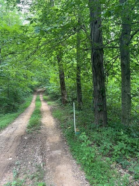 0 Skaggs Branch Rd, Whitleyville, TN 38588