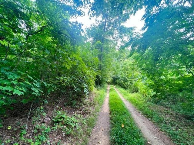0 Skaggs Branch Rd, Whitleyville, TN 38588