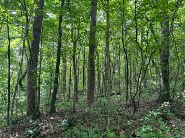 0 Skaggs Branch Rd, Whitleyville, TN 38588