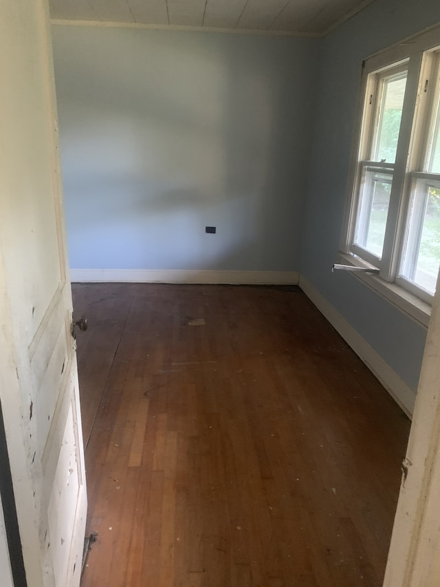 spare room featuring a healthy amount of sunlight and hardwood / wood-style floors