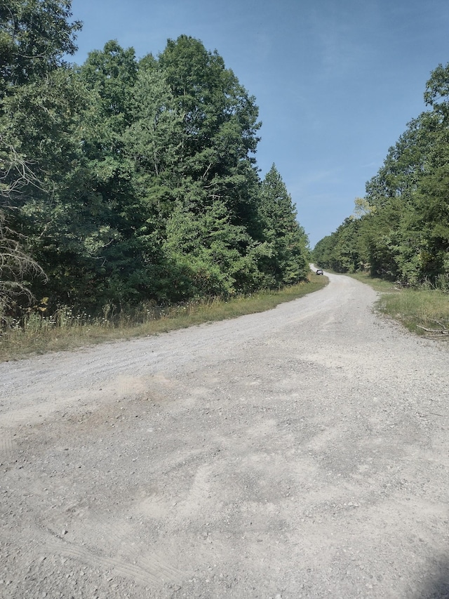 Listing photo 3 for 0 Myers Rd, Altamont TN 37301