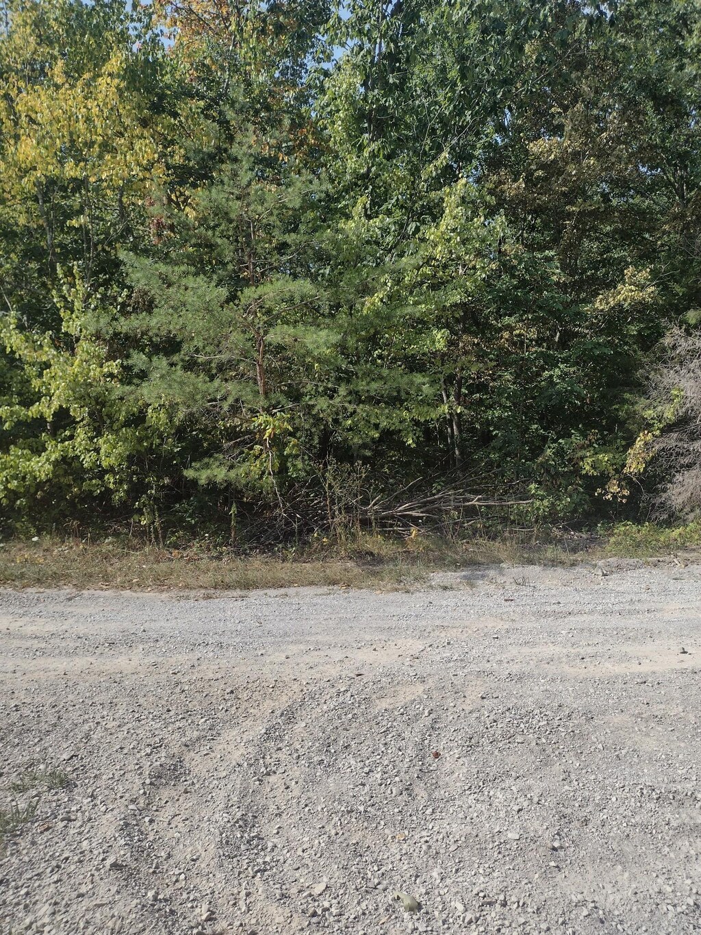 0 Myers Rd, Altamont, TN 37301