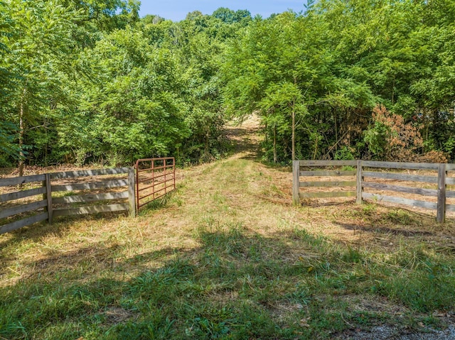 0 Rabbit Trail Rd, Lynnville TN, 38472 land for sale