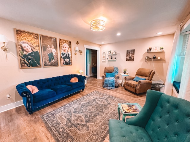 living room featuring hardwood / wood-style flooring