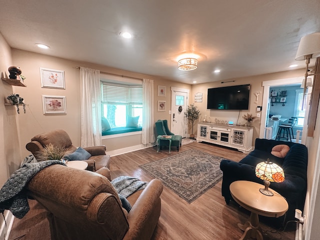 living room with wood-type flooring